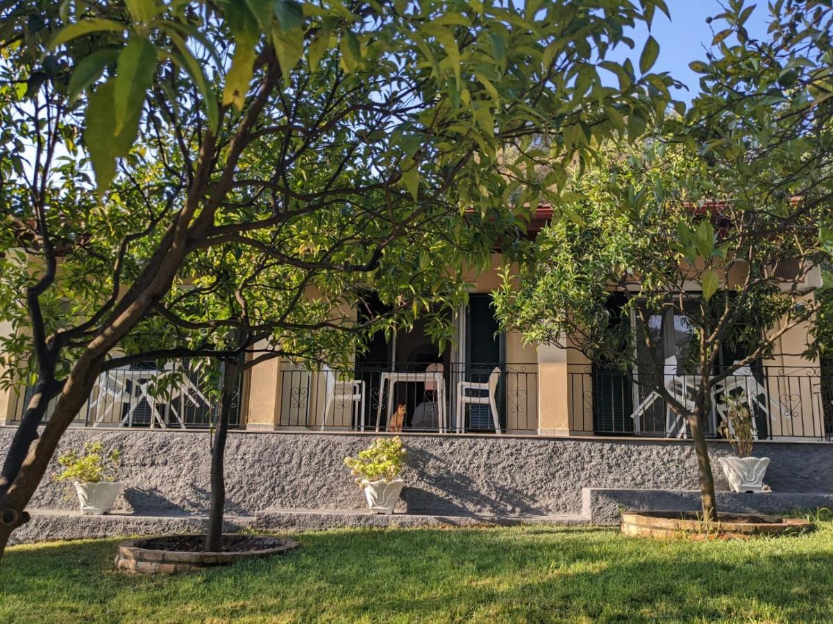 Villa Eleni - Studios Liapades Exterior foto